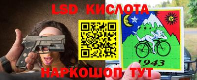 спайс Гусев