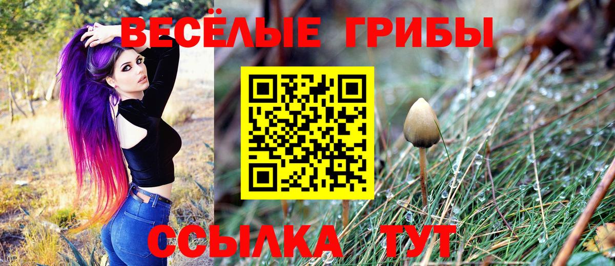 Галлюциногенные грибы Magic Shrooms Можга