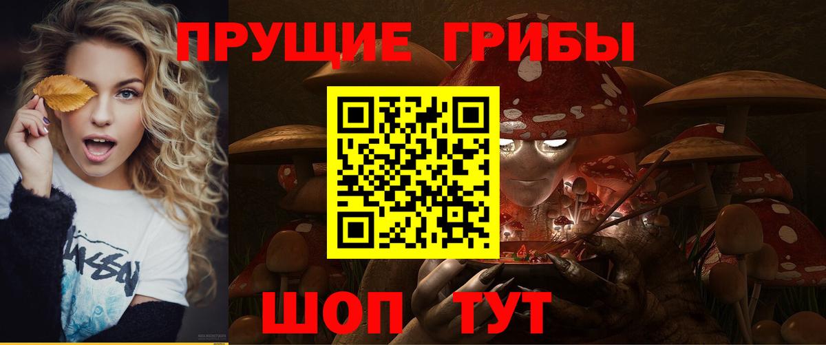 Можга  Галлюциногенные грибы Cubensis  Вход с VPN 